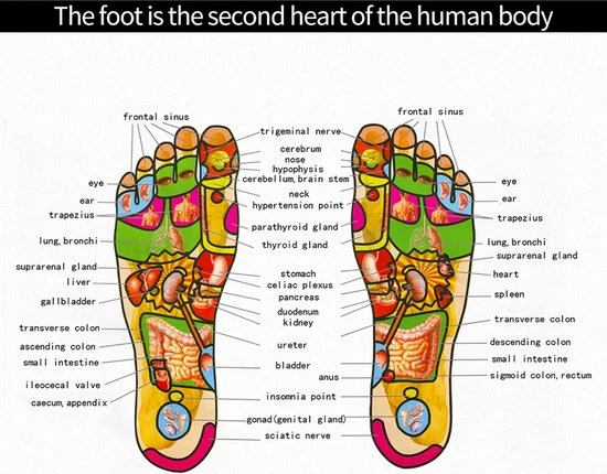 Safu Bloedcirculatie Apparaat -Voet Massage - EMS Trainer ?- Draadloos - Compact-usb Voetmassagemat-Voetmassage Apparaat - Stimuleert Bloedsomloop Voor Voeten -EMS - Acupressuur Verbetering Bloedsomloop ? 4 Safu Bloedcirculatie Apparaat -Voet Massage - EMS Trainer ?- Draadloos - Compact-usb Voetmassagemat-Voetmassage Apparaat - Stimuleert Bloedsomloop Voor Voeten -EMS - Acupressuur Verbetering Bloedsomloop ? - Afbeelding 4