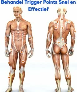 Massage Gun Professioneel THYTAN 30 Standen 2500mAh Tegen Spierpijn - Met Zwarte Koffer -KLASVSA Verkoop 550x533 1