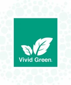 Vivid Green Shiatsu Massagekussen - Massage Apparaten - Nekmassage Apparaat - Infrarood Kussen Nek En Rug - Ontspanning - Zwart -KLASVSA Verkoop 550x550 345