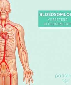 Panacea Voetmassage Apparaat Voor Bloedsomloop Voetroller Shiatsu - 24 Massagekoppen - Met Hoes -KLASVSA Verkoop 550x550 540